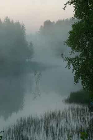 fog over water