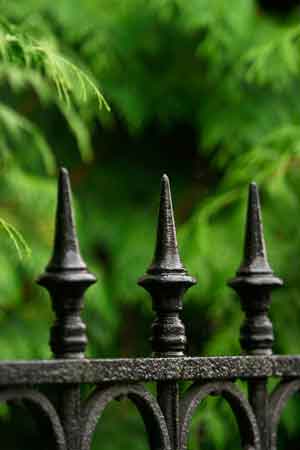 wrought iron fence with green trees in the background